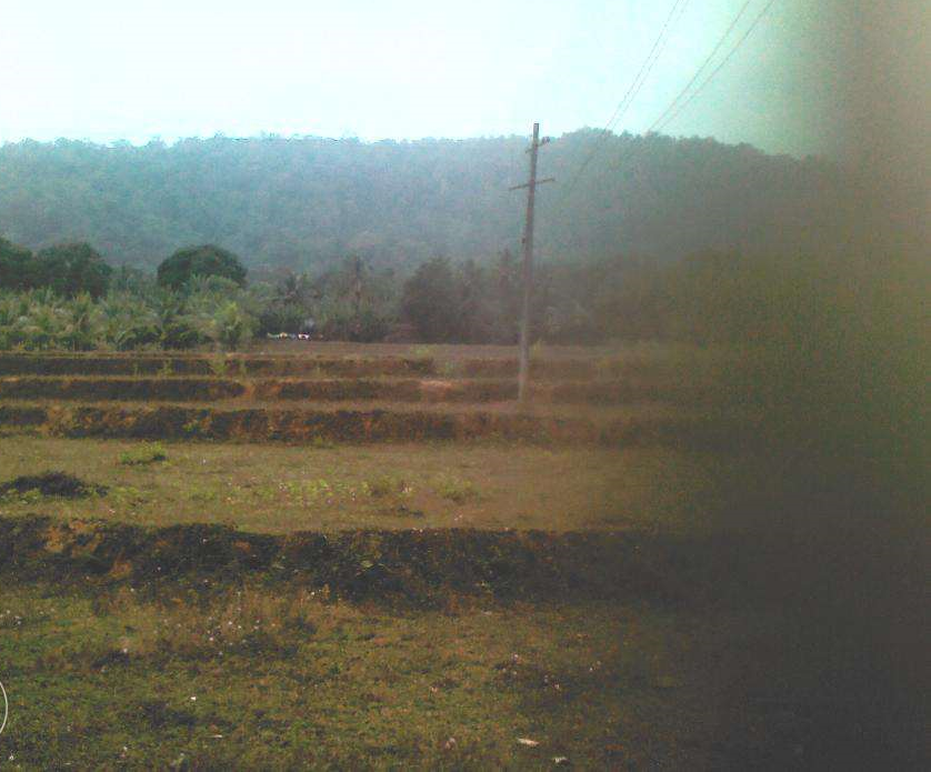 Elevation